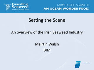 Setting the Scene
An overview of the Irish Seaweed Industry
Máirtín Walsh
BIM
 