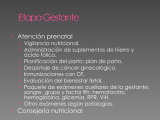 Mais | PPT