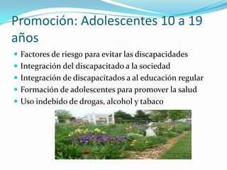 Promoción: Adolescentes 10 a 19
años
 Factores de riesgo para evitar las discapacidades
 Integración del discapacitado a la sociedad
 Integración de discapacitados a al educación regular
 Formación de adolescentes para promover la salud
 Uso indebido de drogas, alcohol y tabaco
 