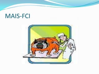 MAIS-FCI
 