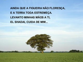 AINDA QUE A FIGUEIRA NÃO FLORESÇA, E A TERRA TODA ESTREMEÇA. LEVANTO MINHAS MÃOS A TI, EL SHADAI, CUIDA DE MIM... 