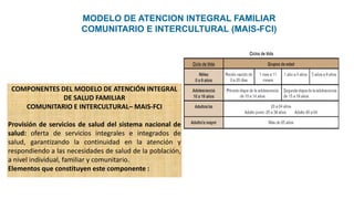 MODELO DE ATENCION INTEGRAL EN SALUD DEL SISTEMA NACIONAL SANITARIO | PDF