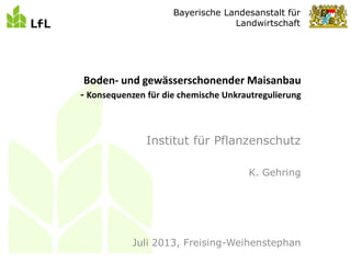 Bayerische Landesanstalt für
Landwirtschaft
Institut für Pflanzenschutz
K. Gehring
Juli 2013, Freising-Weihenstephan
Boden- und gewässerschonender Maisanbau
- Konsequenzen für die chemische Unkrautregulierung
 