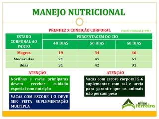 MANEJO NUTRICIONAL
PRENHEZ X CONDIÇÃO CORPORAL

Fonte: Wintbank (1994)

ESTADO
CORPORAL AO
PARTO

PORCENTAGEM DO CIO
40 DIAS

50 DIAS

60 DIAS

Magras

19

34

46

Moderadas

21

45

61

Boas

31

42

91

ATENÇÃO
Novilhas e vacas primíparas
devem
receber
cuidado
especial com nutrição
VACAS COM ESCORE 1-3 DEVE
SER FEITA SUPLEMENTAÇÃO
MULTÍPLA

ATENÇÃO
Vacas com escore corporal 5-6
suplementar com sal e ureia
para garantir que os animais
não percam peso

 