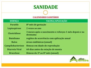SANIDADE
CALENDÁRIO SANITÁRIO
DOENÇA
Paratifo

VACINA/APLICAÇÃO
8º mês de gestação

Leptospirose

2 vezes ao ano

Clostridiose

3 meses após o nascimento e reforços 1 mês depois e na
desmama

Butolismo
Raiva

regiões de ocorrência com aplicação anual
áreas endêmicas (anual)

Campilobacteriose fêmeas em idade de reprodução
Diarreia Viral
Brucelose

60 dias antes da estação de monta
fêmeas do 3º ao 8º mês (anual)

 