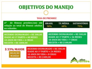 OBJETIVOS DO MANEJO
TAXA DE PRENHEZ
nº de fêmeas prenhes/ano em
relação ao total de fêmeas adultas
no rebanho.
BEZERRO DESMAMADO = R$ 300,00
IDADE AO 1º PARTO = 48 MESES
10 ANOS DE VIDA = 6 CRIAS
RECEITA = R$ 1800,00

$ 33% MAIOR
SELEÇÃO
MANEJO

BRASIL
50%

TX MÉDIA
60%

SATISFATÓRIO
75%

BEZERRO DESMAMADO = R$ 300,00
IDADE AO 1º PARTO = 36 MESES
10 ANOS DE VIDA = 7 CRIAS
RECEITA = R$ 2100,00

BEZERRO DESMAMADO = R$ 300,00
IDADE AO 1º PARTO = 24 MESES
10 ANOS DE VIDA = 8 CRIAS
RECEITA = R$ 2400,00

 