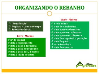 ORGANIZANDO O REBANHO
Livro - Fêmeas
 Identificação
 Registro – Livro de campo
 Softwares Gestão
Livro - Machos
 nº do animal
 data de nascimento
 data e peso a desmama
 data e peso no sobreano
 data e peso aos 24 meses
 data e idade de abate

 nº do animal
 data de nascimento
 data e peso a desmama
 data e peso no sobreano
 data e peso na cobertura
 data do diagnóstico gestação
 data do parto
 características
 data do descarte

 
