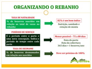ORGANIZANDO O REBANHO
TAXA DE NATALIDADE
% de bezerros nascidos em
relação ao total de vacas no
rebanho

82% é um bom índice
Nutrição, sanidade e
estação de monta

PERÍODO DE SERVIÇO
É o período entre o parto e
uma nova concepção. Indica o
período de tempo entre cada
parto

Menor possível – 75 a 80 dias
Data do parto
Data da cobertura
365 dias = 1 bezerro/ano

TAXA DE DESMAME
% de bezerros desmamados
em relação aos nascidos

Deve ser próximo de 100%

 