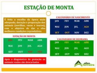 ESTAÇÃO DE MONTA
É feita a escolha da época mais
adequada, duração e preparação dos
animais (novilhas, vacas e touros),
com o objetivo de dar a eles
melhores condições reprodutivas

CALENDÁRIO DE NASCIMENTO
JAN
FEV
MAR
ABR
MAI

JUN

JUL

AGO

SET

OUT

NOV

DEZ

ESTAÇÃO DE MONTA

JAN

FEV

MAR

ABR

MAI

JUN

JUL

AGO

SET

OUT

NOV

DEZ

Após o diagnóstico de gestação os
animais vazios são descartados

CALENDÁRIO DE DESMAMA
JAN
FEV
MAR
ABR
MAI

JUN

JUL

AGO

SET

OUT

NOV

DEZ

 