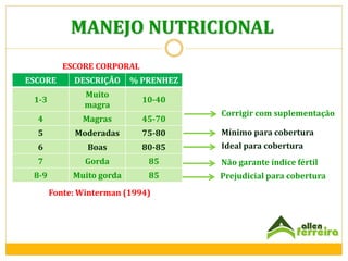 MANEJO NUTRICIONAL
ESCORE CORPORAL
ESCORE

DESCRIÇÃO

% PRENHEZ

1-3

Muito
magra

10-40

4

Magras

45-70

5

Moderadas

75-80

Mínimo para cobertura

6

Boas

80-85

Ideal para cobertura

7

Gorda

85

Não garante índice fértil

8-9

Muito gorda

85

Prejudicial para cobertura

Fonte: Winterman (1994)

Corrigir com suplementação

 