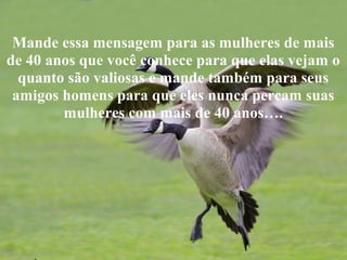 Mande essa mensagem para as mulheres de mais
de 40 anos que você conhece para que elas vejam o
quanto são valiosas e mande também para seus
amigos homens para que eles nunca percam suas
mulheres com mais de 40 anos….
 