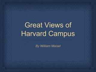 Great Views of
Harvard Campus
By William Maisel
 