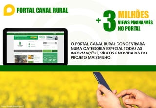 PORTAL CANAL RURAL
MILHÕES
VIEWS PÁGINA/MÊS
NO PORTAL3+
O PORTAL CANAL RURAL CONCENTRARÁ
NUMA CATEGORIA ESPECIAL TODAS AS
INFORMAÇÕES, VÍDEOS E NOVIDADES DO
PROJETO MAIS MILHO.
Fonte: Google Analytics Jun/17
 