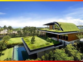 Maisons dans la nature