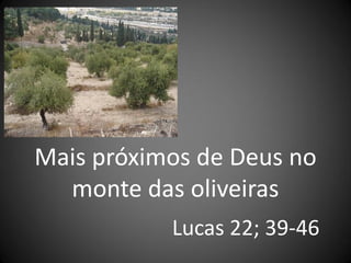 Mais próximos de Deus no
  monte das oliveiras
           Lucas 22; 39-46
 