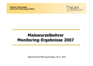 Maiswurzelbohrer monitoring 2007_grabenweger_03