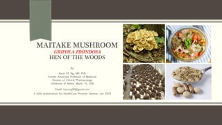 MAITAKE MUSHROOM
GRIFOLA FRONDOSA
HEN OF THE WOODS
By
Kevin KF Ng, MD, PhD
Former Associate Professor of Medicine
Division of Clinical Pharmacology
University of Miami, Miami, FL. USA
Email: kevinng68@gmail.com
A slide presentation for HealthCare Provider Seminar Jan 2019
 