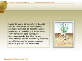 Luego de que el  consumidor  ha digerido y utilizado este alimento, restan pocos productos químicos de desecho. Estos productos de desecho, que se necesitan como fertilizante para plantas, se denominan  nutrientes . Cuando los  consumidores  liberan  nutrientes  y vuelven a ser utilizados por las plantas, nosotros decimos que han sido  reciclados .  