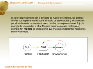 el sol es representado por el símbolo de  fuente de energía , las plantas verdes son representadas por el símbolo de  productores  y los animales por el símbolo de los  consumidores . Las flechas representan el flujo de energía de una unidad a otra. Muchos caminos cargan materiales y energía. Un  modelo  es el diagrama que muestra importantes relaciones en un vía simple.  