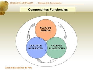 Componentes Funcionales 