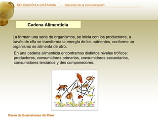 Cadena Alimenticia   La forman una serie de organismos, se inicia con los productores, a través de ella se transforma la energía de los nutrientes, conforme un organismo se alimenta de otro. En una cadena alimenticia encontramos distintos niveles tróficos: productores, consumidores primarios, consumidores secundarios, consumidores terciarios y des componedores.  