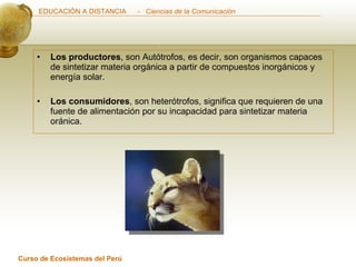 Los productores , son Autótrofos, es decir, son organismos capaces de sintetizar materia orgánica a partir de compuestos inorgánicos y energía solar.  Los consumidores , son heterótrofos, significa que requieren de una fuente de alimentación por su incapacidad para sintetizar materia oránica.  