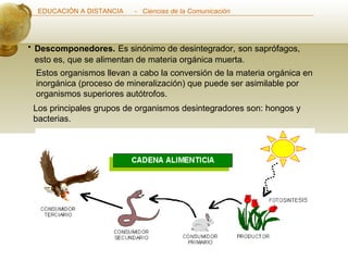 Descomponedores.   Es sinónimo de desintegrador,   son saprófagos, esto es, que se alimentan de materia orgánica muerta.  Estos organismos llevan a cabo la conversión de la materia orgánica en inorgánica (proceso de mineralización) que puede ser asimilable por organismos superiores autótrofos. Los principales grupos de organismos desintegradores son: hongos y bacterias.  