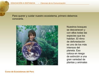 Para querer y cuidar nuestro ecosistema, primero debemos conocerla. Nuestros bosques se desvanecen y con ellos todas las especies que los habitan. El ritmo de deforestación es uno de los más intensos del planeta. Eso coloca en riesgo de extinción a una gran variedad de plantas y animales 