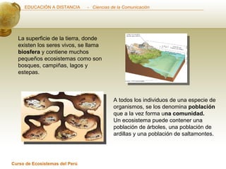 A todos los individuos de una especie de organismos, se los denomina  población  que a la vez forma u na comunidad. Un ecosistema puede contener una población de árboles, una población de ardillas y una población de saltamontes.    La superficie de la tierra, donde existen los seres vivos, se llama  biosfera  y contiene muchos pequeños ecosistemas como son bosques, campiñas, lagos y estepas.  