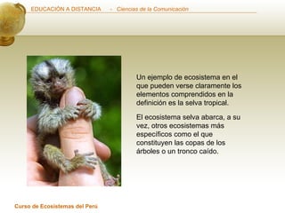 Un ejemplo de ecosistema en el que pueden verse claramente los elementos comprendidos en la definición es la selva tropical.  El ecosistema selva abarca, a su vez, otros ecosistemas más específicos como el que constituyen las copas de los árboles o un tronco caído. 