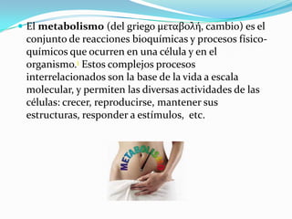 El metabolismo (del griego μεταβολή, cambio) es el

conjunto de reacciones bioquímicas y procesos físicoquímicos que ocurren en una célula y en el
organismo.1 Estos complejos procesos
interrelacionados son la base de la vida a escala
molecular, y permiten las diversas actividades de las
células: crecer, reproducirse, mantener sus
estructuras, responder a estímulos, etc.

 