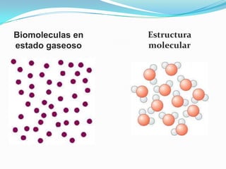 Biomoleculas en
estado gaseoso

Estructura
molecular

 
