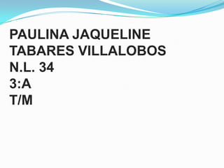 PAULINA JAQUELINE
TABARES VILLALOBOS
N.L. 34
3:A
T/M

 