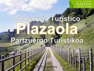 www.plazaola.org
 