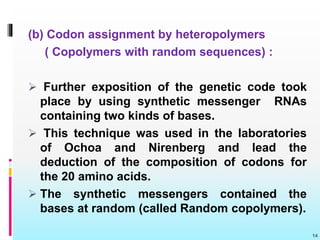 (b) Codon assignment by heteropolymers
( Copolymers with random sequences) :
 Further exposition of the genetic code took
place by using synthetic messenger RNAs
containing two kinds of bases.
 This technique was used in the laboratories
of Ochoa and Nirenberg and lead the
deduction of the composition of codons for
the 20 amino acids.
 The synthetic messengers contained the
bases at random (called Random copolymers).
14
 