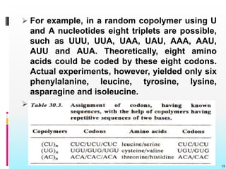  For example, in a random copolymer using U
and A nucleotides eight triplets are possible,
such as UUU, UUA, UAA, UAU, AAA, AAU,
AUU and AUA. Theoretically, eight amino
acids could be coded by these eight codons.
Actual experiments, however, yielded only six
phenylalanine, leucine, tyrosine, lysine,
asparagine and isoleucine.
 n
15
 