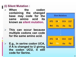 (i) Silent Mutation :
 When the codon
containing the changed
base may code for the
same amino acid its
known as silent mutation.
 This can occur because
multiple codons can code
for the same amino acid.
 E.g., in serine codon UCA,
if A is changed to U giving
the codon UCU, it still
code for Serine.
39
 