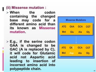 (ii) Missense mutation :
 When the codon
containing the changed
base may code for a
different amino acid than
its known as Missense
mutation.
 E.g., if the serine codon
GAA is changed to be
GAC (A is replaced by C),
it will code for Glutamic
acid not Aspartic acid
leading to insertion of
incorrect amino acid into
polypeptide chain. 40
 