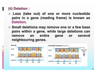 (ii) Deletion :
 Loss (take out) of one or more nucleotide
pairs in a gene (reading frame) is known as
Deletion.
 Small deletions may remove one or a few base
pairs within a gene, while large deletions can
remove an entire gene or several
neighbouring genes.
45
 