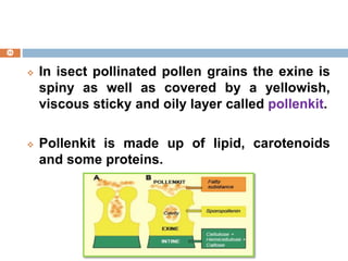 Male gametophyte morphology | PPTX