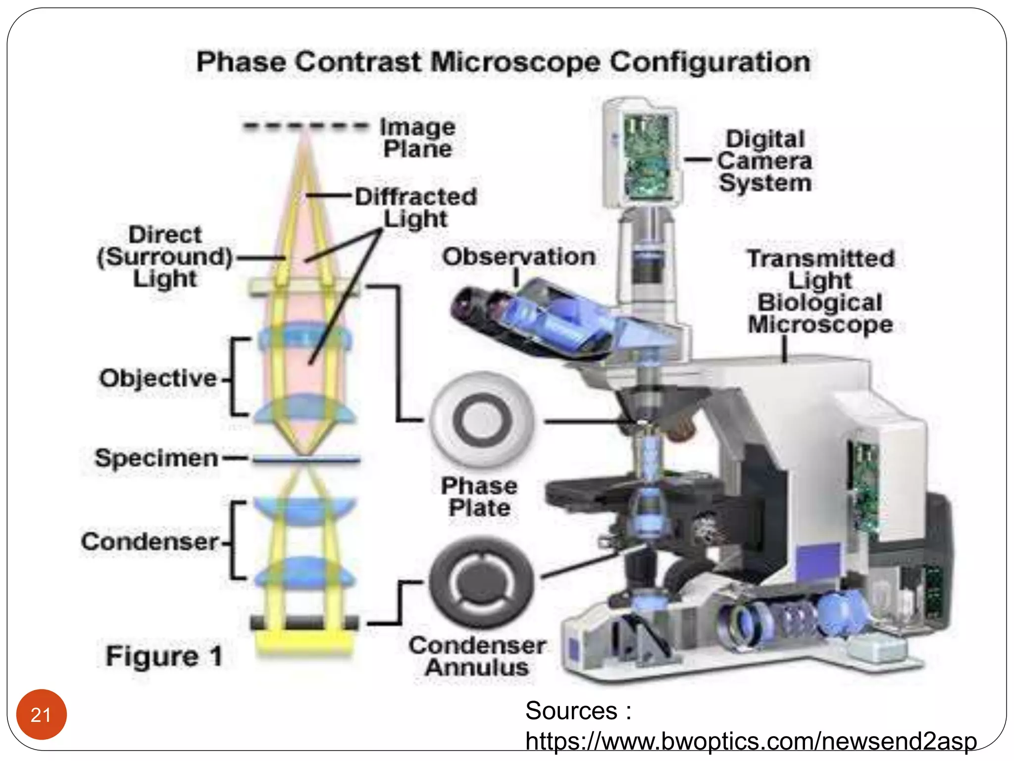 21 Sources :
https://www.bwoptics.com/newsend2asp
 