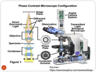 Principles and application of light, phase constrast and fluorescence ...