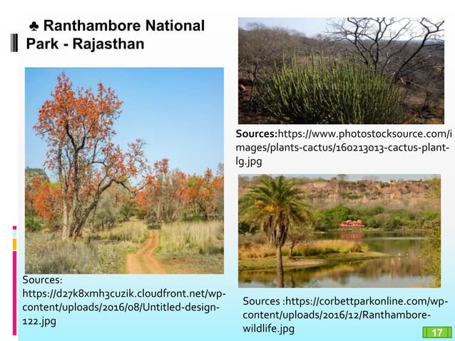 Protected areas in India : National parks & Sanctuaries | PPTX