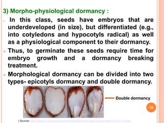 3) Morpho-physiological dormancy :
 In this class, seeds have embryos that are
underdeveloped (in size), but differentiated (e.g.,
into cotyledons and hypocotyls radical) as well
as a physiological component to their dormancy.
 Thus, to germinate these seeds require time for
embryo growth and a dormancy breaking
treatment.
 Morphological dormancy can be divided into two
types- epicotyls dormancy and double dormancy.
16
( Sources: http://botanico.uclm.es/wp-content/uploads/2015/10/Captura-de-pantalla-2015-10-13-a-las-
Double dormancy
 