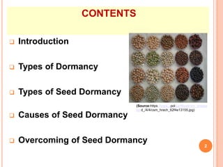 CONTENTS
 Introduction
 Types of Dormancy
 Types of Seed Dormancy
 Causes of Seed Dormancy
 Overcoming of Seed Dormancy
2
(Source:https://www.upol.cz/fileadmin/_proces
se d_/4/4/csm_hrach_62f4e13155.jpg)
 