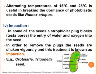  Alternating temperatures of 15°C and 25°C is
useful in breaking the dormancy of photoblastic
seeds like Rumex crispus.
iv) Impaction :
 In some of the seeds a strophiolar plug blocks
(testa pores) the entry of water and oxygen into
the seed.
 In order to remove the plugs the seeds are
shaken vigoursly and this treatment is known as
Impaction.
 E.g., Crotolaria, Trigonella
seed. 34
(Source : https://classconnection.s3.amazonaws.com/345/flashcards/6176345/gif/seedia-148D474B9CE6A431CC3.gif)
 