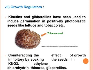 vii) Growth Regulators :
 Kinetins and gibberellins have been used to
induce germination in positively photoblastic
seeds like lettuce and tobacco etc.
 Counteracting the effect of growth
inhibitory by soaking the seeds in
KNO3, ethylene 37
chlorohydrin, thiourea, gibberellins.
(Source : https://historicjamestowne.org/wp-content/uploads/tobaccoseed.jpg)
Tobacco seed
 