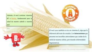 Además, el maíz contiene vitamina
B7 o biotina, fundamental para la
salud de nuestro cabello o nuestra
piel.
El maíz seco también es rico en vitamina A, algo que le
diferencia del resto de cereales. Los betacarotenos que
presenta son increíbles antioxidantes que cuidan de la
salud de nuestras células, previniendo enfermedades
degenerativas.
 