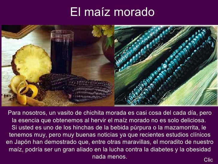 El maíz morado Para nosotros, un vasito de chichita morada es casi cosa del cada día, pero la esencia que obtenemos al her...