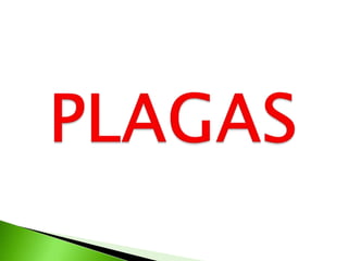 PLAGAS